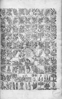An illustration from Oeuvres de Jacques et Paul Contant pere et fils maistres apoticaires de la ville de Poictiers (1628)