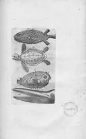 An illustration from Oeuvres de Jacques et Paul Contant pere et fils maistres apoticaires de la ville de Poictiers (1628)