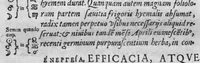 An illustration from Historia, sive descriptio plantarum omnium, tam domesticarum quam exoticarum ... (1578)