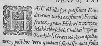 An illustration from Historia, sive descriptio plantarum omnium, tam domesticarum quam exoticarum ... (1578)