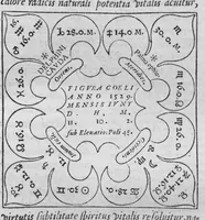 Picture 8 of 28 from Historia, sive descriptio plantarum omnium, tam domesticarum quam exoticarum ... (1578), leaf 52