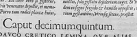 An illustration from Historia, sive descriptio plantarum omnium, tam domesticarum quam exoticarum ... (1578)