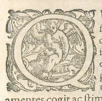 An illustration from Discursus apologeticus Joannis Zwelferi adversus Hippocratem chymicum Ottonis Tackenii : ejusq adulterini salis viperini novissimi fundamenta, ut ait, antiquissima : cui & accessere ejusdem justimissimae vindiciae contra Franciscum Verny. Annexo etiam Apologemate epistolico anonymi. (1668)