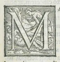 An illustration from Luminare maius lumen apothecariorum, & aromatariorum thesaurus Omnibus cum mecidis, tum aromatariis pernecessaria Opera In quibus multa clarissimorum medicorum pharmaca, Nicolai Mutoni Medici Mediolanensis, olim opera, & nunc aliorum plurium diligentissimorum medicorum addita : & quæ prius extabant ab innumerabilibus erratis purgata reperies. Indices duo insunt : alter ad minima quæque simplicium nomina reperienda anta operis initium : alter in fine libri, quid in unaquaqu[ue] sectione contineatur, amplissime declarans. (1561)