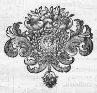 An illustration from Collectanea pharmaceutica seu apparatus ad novam pharmacopoeam (1695)