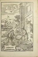Picture 21 of 45 from Le vray et methodique cours de la physique resolutive, vulgairements dite chymie representé par figures generales & particulieres pour connoistre la theotechnie ergocosmique, c'est a dire, l'art de Dieu en l'ouvrage de l'univers. Seconde édition, avec l'indice des matieres de ce volume, & quelques additions. Par Annibal Barlet (1657), leaf 257