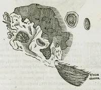 An illustration from Libri de piscibus marinis, in quibus verae piscium effigies expressae sunt. Quæ in ntota piscium historia contineantur, indicat elenchus pagina nona et decima. Postremo accesserunt indices necessarii. Gulielmi Rondeletti, Doctoris medici et medicinae in schola monspeliensi professoris regii. (1554)