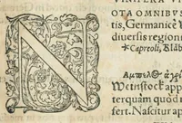 An illustration from In hoc volumine continentur Valerii Cordi Simesusij Annotationes in Pedacij Dioscoridis. Anazarbei De medica materia Libros V. Longe aliae quam ante hac sunt evulgatae. Eiusdem ... Historiae stirpium Lib. IIII posthumi, nunc primum in Lucem editi, adjectis etiam stirpium iconibus, & brevissimus annotatiunculis. Sylva, qua rerum fossilium in Germanium plurimarum metallorum, Lapidum, & stirpium aliquot rariorum notitiam brevissime persequitur nunquam hactenus visa. De artificiosis extractionibus Liber. Compositiones medicinales aliquot, non vulgares, his accedunt Stocc-Hornii et Nessi In Bernatium Helvetiorum ditione montium, & nascentium in eis stirpium descriptio Benedict Aretii, item Conradi Gesneri De hortis Germaniae, Liber recens ...omnia ... studio atque industria ... Conr. Gesneri collecta, & praefationibus illustrata. (1560)
