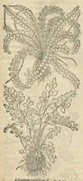 An illustration from In hoc volumine continentur Valerii Cordi Simesusij Annotationes in Pedacij Dioscoridis. Anazarbei De medica materia Libros V. Longe aliae quam ante hac sunt evulgatae. Eiusdem ... Historiae stirpium Lib. IIII posthumi, nunc primum in Lucem editi, adjectis etiam stirpium iconibus, & brevissimus annotatiunculis. Sylva, qua rerum fossilium in Germanium plurimarum metallorum, Lapidum, & stirpium aliquot rariorum notitiam brevissime persequitur nunquam hactenus visa. De artificiosis extractionibus Liber. Compositiones medicinales aliquot, non vulgares, his accedunt Stocc-Hornii et Nessi In Bernatium Helvetiorum ditione montium, & nascentium in eis stirpium descriptio Benedict Aretii, item Conradi Gesneri De hortis Germaniae, Liber recens ...omnia ... studio atque industria ... Conr. Gesneri collecta, & praefationibus illustrata. (1560)