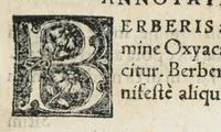 An illustration from Botanicon, continens herbarum, aliorumque simplicium, quorum usus in medicinis est, descriptiones et iconas ad vivum effigiatas : ex praecipuis tam Grecis quam Latinis Authoribus jam recens concinnatum ; Additis etiam, quae Neotericorum obseruationes & experientiae uel comprobarunt denuo, uel nuper inuenerunt/ Avt. Theodorico Dorstenio Medico. (1540)