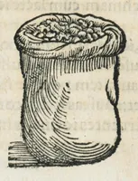 Picture 34 of 75 from Botanicon, continens herbarum, aliorumque simplicium, quorum usus in medicinis est, descriptiones et iconas ad vivum effigiatas : ex praecipuis tam Grecis quam Latinis Authoribus jam recens concinnatum ; Additis etiam, quae Neotericorum obseruationes & experientiae uel comprobarunt denuo, uel nuper inuenerunt/ Avt. Theodorico Dorstenio Medico. (1540), leaf 297