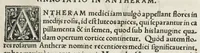 An illustration from Botanicon, continens herbarum, aliorumque simplicium, quorum usus in medicinis est, descriptiones et iconas ad vivum effigiatas : ex praecipuis tam Grecis quam Latinis Authoribus jam recens concinnatum ; Additis etiam, quae Neotericorum obseruationes & experientiae uel comprobarunt denuo, uel nuper inuenerunt/ Avt. Theodorico Dorstenio Medico. (1540)