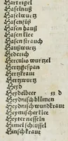 An illustration from Botanicon, continens herbarum, aliorumque simplicium, quorum usus in medicinis est, descriptiones et iconas ad vivum effigiatas : ex praecipuis tam Grecis quam Latinis Authoribus jam recens concinnatum ; Additis etiam, quae Neotericorum obseruationes & experientiae uel comprobarunt denuo, uel nuper inuenerunt/ Avt. Theodorico Dorstenio Medico (1540)