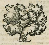 An illustration from Botanicon, continens herbarum, aliorumque simplicium, quorum usus in medicinis est, descriptiones et iconas ad vivum effigiatas : ex praecipuis tam Grecis quam Latinis Authoribus jam recens concinnatum ; Additis etiam, quae Neotericorum obseruationes & experientiae uel comprobarunt denuo, uel nuper inuenerunt/ Avt. Theodorico Dorstenio Medico (1540)