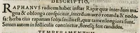 An illustration from Botanicon, continens herbarum, aliorumque simplicium, quorum usus in medicinis est, descriptiones et iconas ad vivum effigiatas : ex praecipuis tam Grecis quam Latinis Authoribus jam recens concinnatum ; Additis etiam, quae Neotericorum obseruationes & experientiae uel comprobarunt denuo, uel nuper inuenerunt/ Avt. Theodorico Dorstenio Medico (1540)