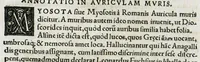 An illustration from Botanicon, continens herbarum, aliorumque simplicium, quorum usus in medicinis est, descriptiones et iconas ad vivum effigiatas : ex praecipuis tam Grecis quam Latinis Authoribus jam recens concinnatum ; Additis etiam, quae Neotericorum obseruationes & experientiae uel comprobarunt denuo, uel nuper inuenerunt/ Avt. Theodorico Dorstenio Medico (1540)