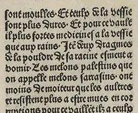 An illustration from Arbolayre contenant la qualitey et virtus, proprietey des herbes, arbres, gommes et semences