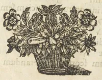 An illustration from Codex medicamentarius seu pharmacopoea Parisiensis ex mandato Facultatis medicinæ Parisiensis in lucem edita M. Philippo Harduino de S. Jacques decano. (1645)