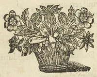 An illustration from Codex medicamentarius seu pharmacopoea Parisiensis ex mandato Facultatis medicinæ Parisiensis in lucem edita M. Philippo Harduino de S. Jacques decano. (1645)