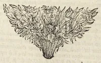 An illustration from Pharmacopoeia Augustana Restituta, sive Examen Animadversionum in Dispensatorium Augustanum, ejusdemque Mantissam hermeticam Joannis Zvelferi, Palatini adornatum à Luca Schröckio, Luc. Fil. Medic. Doct. & in Patria Physico.[Suivi de : ] (1673)