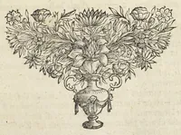 An illustration from Pharmacopoeia Augustana Restituta, sive Examen Animadversionum in Dispensatorium Augustanum, ejusdemque Mantissam hermeticam Joannis Zvelferi, Palatini adornatum à Luca Schröckio, Luc. Fil. Medic. Doct. & in Patria Physico.[Suivi de : ] (1673)