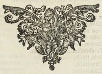 An illustration from Dispensatorium Hafniense jussu superiorum à medicis Hafniensibus adornatum Thomas Bartholinus publici juris fecit. (1658)