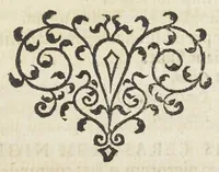 An illustration from Dispensatorium Hafniense jussu superiorum à medicis Hafniensibus adornatum Thomas Bartholinus publici juris fecit. (1658)
