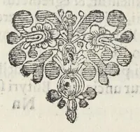 An illustration from Dispensatorium Hafniense jussu superiorum à medicis Hafniensibus adornatum Thomas Bartholinus publici juris fecit. (1658)