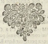 An illustration from Dispensatorium Hafniense jussu superiorum à medicis Hafniensibus adornatum Thomas Bartholinus publici juris fecit. (1658)