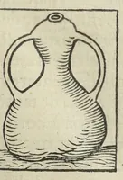 An illustration from Thesaurus Evonymi Philiatri, De remediis secretis, liber physicus, medicus, et partim etiam Chymicus, & œconomicus in vinorum diversi saporis apparatu, medicis & pharmacopolis omnibus præcipuè necessarius, nunc primum in lucem editus. Argumentum copiosius sequens pagella continet. (1554)