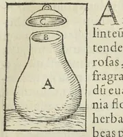 An illustration from Thesaurus Evonymi Philiatri, De remediis secretis, liber physicus, medicus, et partim etiam Chymicus, & œconomicus in vinorum diversi saporis apparatu, medicis & pharmacopolis omnibus præcipuè necessarius, nunc primum in lucem editus. Argumentum copiosius sequens pagella continet. (1554)