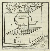 An illustration from Thesaurus Evonymi Philiatri, De remediis secretis, liber physicus, medicus, et partim etiam Chymicus, & œconomicus in vinorum diversi saporis apparatu, medicis & pharmacopolis omnibus præcipuè necessarius, nunc primum in lucem editus. Argumentum copiosius sequens pagella continet. (1554)