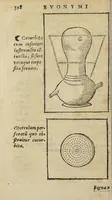 Picture 4 of 4 from Pax methodicorum, cum spagyricis. A Nob. Petro de Vege Sereniss. Ducis Sabaudiæ Medico. Cum epilepsiæ, podagræ, Hydrop. & Lepræ curatione. Accessit Conr. Gesneri Thesaurus Evonymi de remediis secretis nunc in lucem editus, diligentia Casp. Wolfii, Adjectis ingeniosis fornacum figuris. [Suivi de :] Conr. Gesneri Thesaurus Evonymi de remediis secretis. Nunc studio & diligentia Gaspari Vvelphij medici & physici singularis illustratus, & in lucem editus. Adiecimus in pharmacopolarum gratiam plurimas ingeniosas fornacum figuras, quo facilior haec materia & dilucidior habeatur. (1620), leaf 462