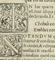 An illustration from In antidotarium Joannis filii Mesuae censura. Cum declaratione simplicium medicinarum et solutione multorum dubiorum ac difficilium terminorum(per venerandos patres et J.C servos, fratres Bartholomaeum Urbevelanum et Angelum Paleam Juvenatiensem). Ad haec receptarium cum suo repertorio in calce apposuimus. Opus sane tam medicinæ studiosis, quàm aromatariis necessarium. (1545)