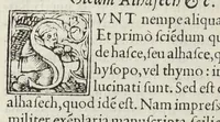 An illustration from In antidotarium Joannis filii Mesuae censura. Cum declaratione simplicium medicinarum et solutione multorum dubiorum ac difficilium terminorum(per venerandos patres et J.C servos, fratres Bartholomaeum Urbevelanum et Angelum Paleam Juvenatiensem). Ad haec receptarium cum suo repertorio in calce apposuimus. Opus sane tam medicinæ studiosis, quàm aromatariis necessarium. (1545)