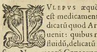 An illustration from Synopsis methodica pharmacorum omnium quæ in communi sunt practicantium usu, omnibus qui medicinæ factivæ studio tenentur, utilissima : in duos libros diducta. Authore Nicolao Dacier Trecensi, in celeberrima Monspeliensi Academia doctore medico. (1614)