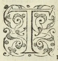 An illustration from Pharmacopoeia, medicamentorum omnium quae hodie ad publica medentium munia Officinis extant, tractationem & usum ex antiquorum medicorum praescripto continens, pharmacopoeis omnibus, atque etiam iis qui opus factitant medicum, valde utilis & necessaria. Anutio Foesio ... Ad Carolum Lotharingium ... (1561)