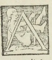 An illustration from Pharmacopoeia, medicamentorum omnium quae hodie ad publica medentium munia Officinis extant, tractationem & usum ex antiquorum medicorum praescripto continens, pharmacopoeis omnibus, atque etiam iis qui opus factitant medicum, valde utilis & necessaria. Anutio Foesio ... Ad Carolum Lotharingium ... (1561)
