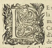 An illustration from Les XIV. livres des Paragraphes de Ph. Théoph. Paracelse Bombast, Allemand; tres grand & tres-excellent Philosophe, & tres-celebre Docteur en la Medecine, prince des medecins hermetiques & spagiriques. Où sont contenus en Epitome ses secrets admirables, tant physiques que chirurgiques, pour la curation tres-certaine & methodique des maladies estimées incurables; A sçavoir la lèpre, l'épilepsie, hydropisie, paralisie, phtisie, asthme, dissenterie, gonorrhées, accidents de matrice, fièvres, & autres. Plus un abrégé des préparations chimiques de tous simples, végétaux, animaux & métalliques; trouvé escript de la main de Paracelse, avec le moyen asseuré de les administrer en toutes maladies. Un autre discours excellent de l'alchimie, du mesme autheur, contre les erreurs & abus de la mMedecine humorale & Galenique, contenant des choses tres-rares & utilles. Traduicts du latin en françois, avec explications et annotations tres-amples. Par C. de Sarcilly, Escuyer, sieur de Montgautier, Cauville, Culey, Canon, &c. tres-expert en la doctrine Paracelsique. Oeuvres non encor veus, & tres-necessaires à tous Medecins, Chirurgiens, Apothiquaires, & à tous gens curieux de leur santé. (1631)