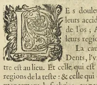An illustration from Les XIV. livres des Paragraphes de Ph. Théoph. Paracelse Bombast, Allemand; tres grand & tres-excellent Philosophe, & tres-celebre Docteur en la Medecine, prince des medecins hermetiques & spagiriques. Où sont contenus en Epitome ses secrets admirables, tant physiques que chirurgiques, pour la curation tres-certaine & methodique des maladies estimées incurables; A sçavoir la lèpre, l'épilepsie, hydropisie, paralisie, phtisie, asthme, dissenterie, gonorrhées, accidents de matrice, fièvres, & autres. Plus un abrégé des préparations chimiques de tous simples, végétaux, animaux & métalliques; trouvé escript de la main de Paracelse, avec le moyen asseuré de les administrer en toutes maladies. Un autre discours excellent de l'alchimie, du mesme autheur, contre les erreurs & abus de la mMedecine humorale & Galenique, contenant des choses tres-rares & utilles. Traduicts du latin en françois, avec explications et annotations tres-amples. Par C. de Sarcilly, Escuyer, sieur de Montgautier, Cauville, Culey, Canon, &c. tres-expert en la doctrine Paracelsique. Oeuvres non encor veus, & tres-necessaires à tous Medecins, Chirurgiens, Apothiquaires, & à tous gens curieux de leur santé. (1631)