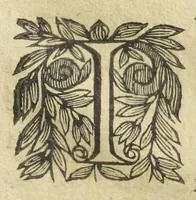 An illustration from Les XIV. livres des Paragraphes de Ph. Théoph. Paracelse Bombast, Allemand; tres grand & tres-excellent Philosophe, & tres-celebre Docteur en la Medecine, prince des medecins hermetiques & spagiriques. Où sont contenus en Epitome ses secrets admirables, tant physiques que chirurgiques, pour la curation tres-certaine & methodique des maladies estimées incurables; A sçavoir la lèpre, l'épilepsie, hydropisie, paralisie, phtisie, asthme, dissenterie, gonorrhées, accidents de matrice, fièvres, & autres. Plus un abrégé des préparations chimiques de tous simples, végétaux, animaux & métalliques; trouvé escript de la main de Paracelse, avec le moyen asseuré de les administrer en toutes maladies. Un autre discours excellent de l'alchimie, du mesme autheur, contre les erreurs & abus de la mMedecine humorale & Galenique, contenant des choses tres-rares & utilles. Traduicts du latin en françois, avec explications et annotations tres-amples. Par C. de Sarcilly, Escuyer, sieur de Montgautier, Cauville, Culey, Canon, &c. tres-expert en la doctrine Paracelsique. Oeuvres non encor veus, & tres-necessaires à tous Medecins, Chirurgiens, Apothiquaires, & à tous gens curieux de leur santé. (1631)