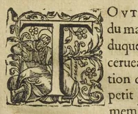 An illustration from Les XIV. livres des Paragraphes de Ph. Théoph. Paracelse Bombast, Allemand; tres grand & tres-excellent Philosophe, & tres-celebre Docteur en la Medecine, prince des medecins hermetiques & spagiriques. Où sont contenus en Epitome ses secrets admirables, tant physiques que chirurgiques, pour la curation tres-certaine & methodique des maladies estimées incurables; A sçavoir la lèpre, l'épilepsie, hydropisie, paralisie, phtisie, asthme, dissenterie, gonorrhées, accidents de matrice, fièvres, & autres. Plus un abrégé des préparations chimiques de tous simples, végétaux, animaux & métalliques; trouvé escript de la main de Paracelse, avec le moyen asseuré de les administrer en toutes maladies. Un autre discours excellent de l'alchimie, du mesme autheur, contre les erreurs & abus de la mMedecine humorale & Galenique, contenant des choses tres-rares & utilles. Traduicts du latin en françois, avec explications et annotations tres-amples. Par C. de Sarcilly, Escuyer, sieur de Montgautier, Cauville, Culey, Canon, &c. tres-expert en la doctrine Paracelsique. Oeuvres non encor veus, & tres-necessaires à tous Medecins, Chirurgiens, Apothiquaires, & à tous gens curieux de leur santé. (1631)