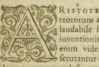 An illustration from Secreta Alchimiæ Magnalia D. Thomæ Aquinatis, de corporibus supercœlestibus, & quòd in rebus inferioribus inveniantur, quoque modo extrahantur : de lapide minerali, animali, & plantali. Item thesaurus alchimiæ secretissimus ; quem dedit fratri suo Reinaldo. Accessit et Joannis de Rupescissa liber lucis, ac Raymundi Lullii opus pulcherrimum, quod inscribitur clavicula & apertorium in quo omnia quæ in opere alchimiæ requiruntur, venustè declarantur, & sine quo, ut ipse testatur Lullius, alii sui libri intellegi nequeunt. Opera Danielis Brouchuisii artium & medicinæ doctoris. Cum præfatione D. Joannis Heurnii. Editio tertia. (1602)