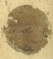 An illustration from Petri Morelli Methodus præscribendi formulas remediorum. Cum adjuncto materiæ medicæ systemate. Aucta, variisque modis illustrata à Gerardo Blasio, medicinæ doctore ac practico Amsterlodamensi. (1659)