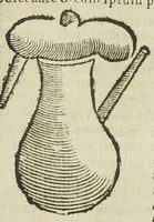 An illustration from Valerii Cordi Dispensatorium, sive pharmacorum conficiendorum ratio; cum Petri Coudenbergii, & Matthiæ Lobelii scholiis emendationibus, & auctariis. Accessit hac editione, præter Guilielmi Rondeletii de Theriaca tractatum, emendatiorem; & formulas selectiorum pharmacorum, quorum post Val. Cordum usus passim receptus est, auctiores ; alius Fr. Dissaldei ejusdem argumenti libellus. (1627)