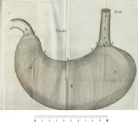 An illustration from Pharmaceutice rationalis, sive Diatriba de medicamentorum operationibus in humano corpore, authore Thoma Willis, M. D. In Univ. Oxon. Prof. Sedleiano, nec non coll. med. Lond. & Societ. Reg. socio. Editio postrema, prioribus emendatior. (1675)