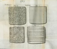 An illustration from Pharmaceutice rationalis, sive Diatriba de medicamentorum operationibus in humano corpore, authore Thoma Willis, M. D. In Univ. Oxon. Prof. Sedleiano, nec non coll. med. Lond. & Societ. Reg. socio. Editio postrema, prioribus emendatior. (1675)