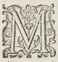 An illustration from Petri Morelli Gallo campani, medici regii, Formulæ remediorum. Studio & operâ Jo. Jacob. à Brunn, phil. & med. D. pract. med. in Acad. Basil. professoris ordinarii. Cujus accedit Systema materiæ medicæ. Indicibus huic postrema ed. additis (1650)
