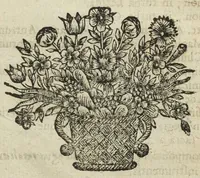 An illustration from Bibliotheca chimica. Seu catalogus librorum philosophicorum hermeticorum. In quo quatuor millia circiter, authorum chimicorum, vel de transmutatione metallorum, re minerali, & arcanis, tam manuscriptorum, quam in lucem editorum, cum eorum editionibus, usque ad annum 1653. continentur. Cum ejusdem bibliothecæ appendice, & corollario authore Petro Borellio Castrensi, Medico Doctore, (1654)