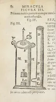 Picture 3 of 11 from Miracula chymica et mysteria medica. Libris quinque enucleata, quorum summam pagina versa exhibet. Studio et opera Philippi Mulleri Froburg. Brisgoi, philosoph. & med. D. (1651), leaf 40